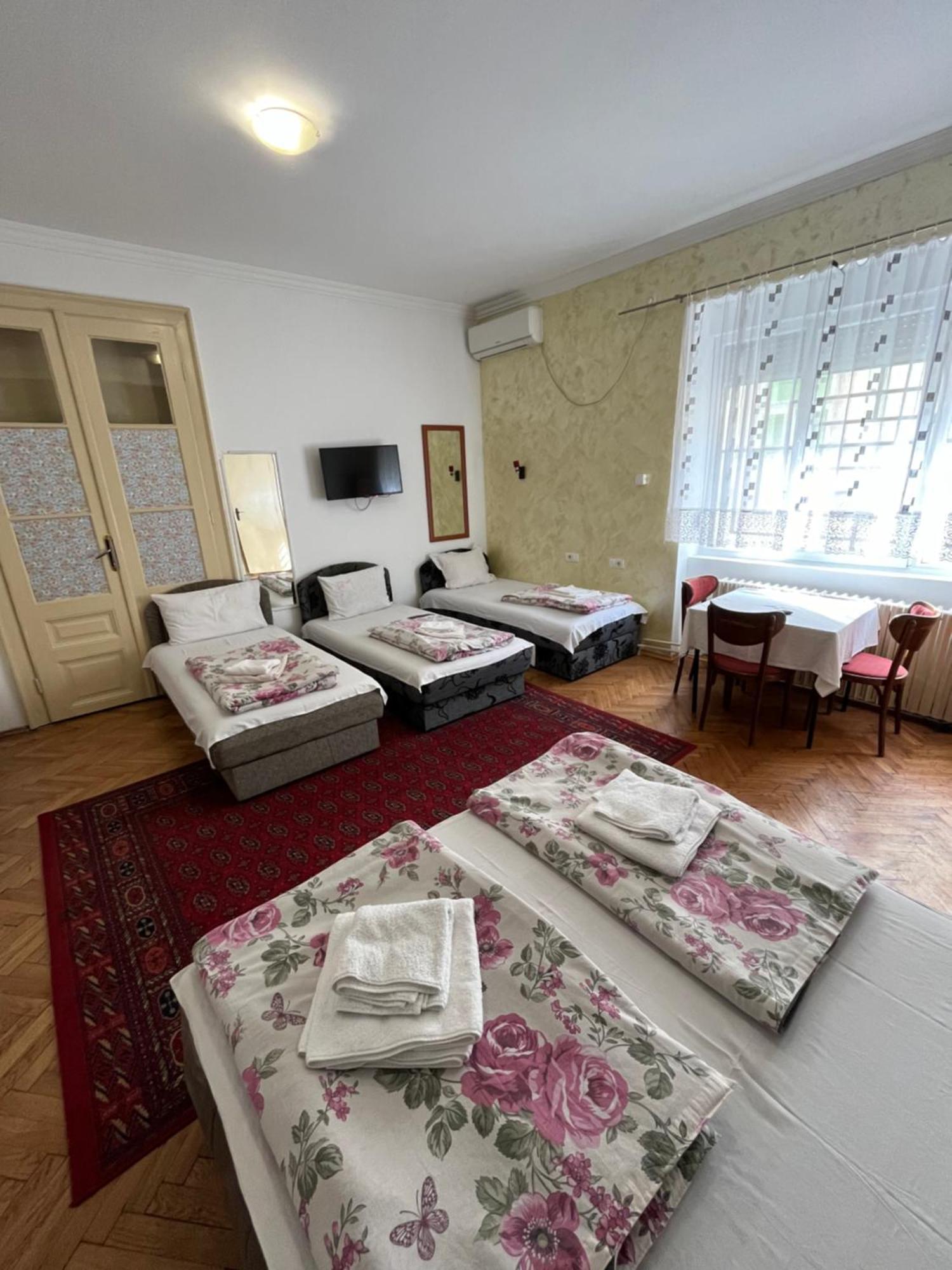 Sobe Sa Sopstvenim Kupatilom Private Rooms Bathroom In Center نوفي ساد المظهر الخارجي الصورة