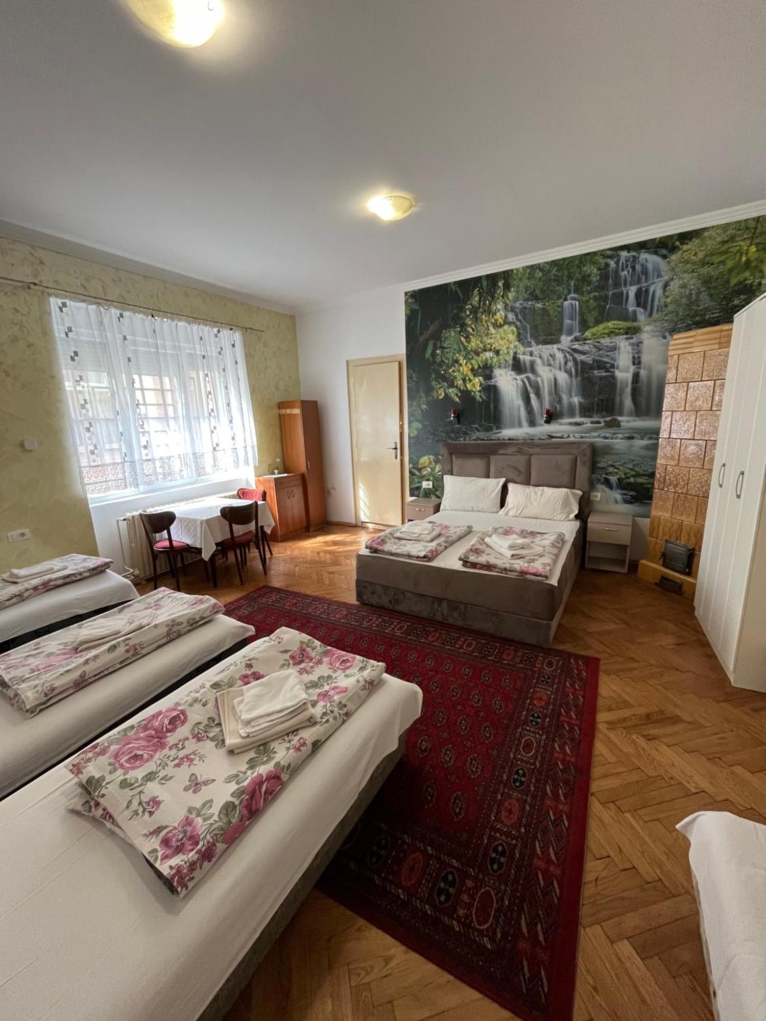 Sobe Sa Sopstvenim Kupatilom Private Rooms Bathroom In Center نوفي ساد المظهر الخارجي الصورة